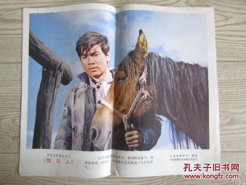 最高学历证书电子版在哪里下载